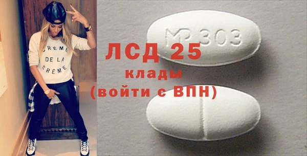 сатива Ельня