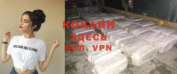 сатива Ельня