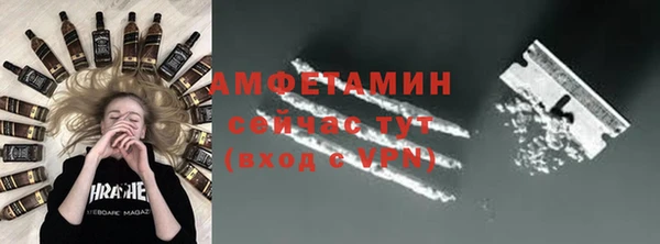 сатива Ельня
