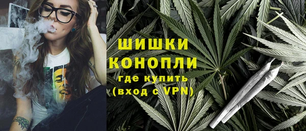 сатива Ельня