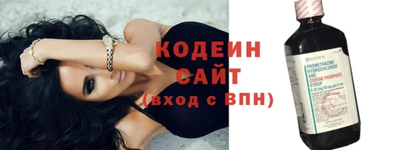 сатива Ельня