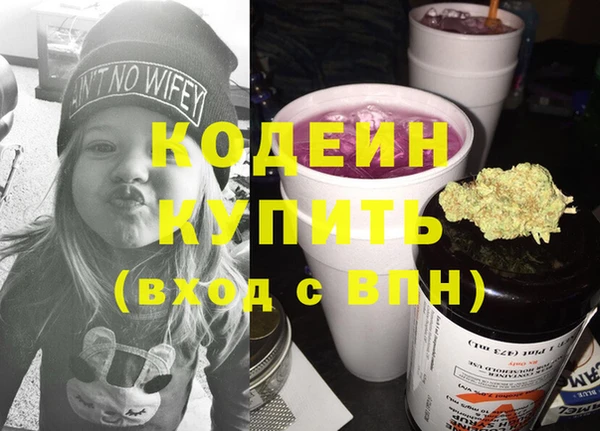 сатива Ельня