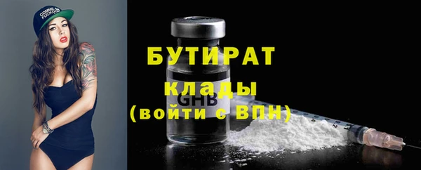 сатива Ельня