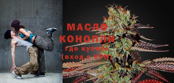 сатива Ельня