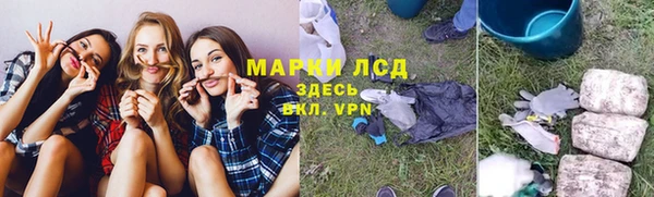 сатива Ельня
