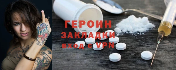 сатива Ельня